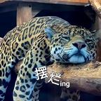 叽里咕噜头像