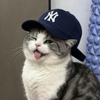 happy头像