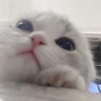 top头像