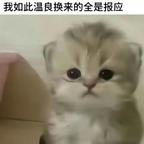 江凌..头像