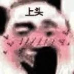 合欢宗·许嘉豪头像