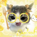 草莓小猫头像