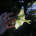 苍雪不许死头像