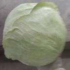 一颗包  菜头像