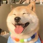 蛋哥🥚头像