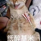 湮灭头像