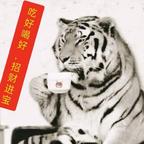 等下东风头像