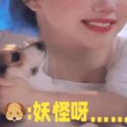 风之文彬头像