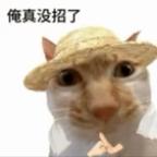 梦三和扫把星天生一对头像