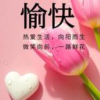 快乐小西头像