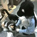 小田头像