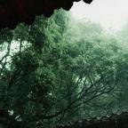 用户名98788288头像