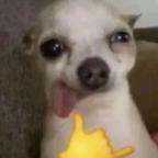 脑子抛开就是看🤪头像