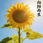 期待朦胧中的光亮头像