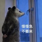 土狗爱看头像
