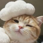 ≽^⚈⩊⚈^≼头像