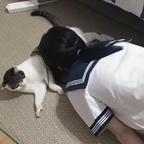 南方头像