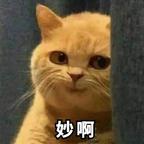 小胡五行缺点垚头像