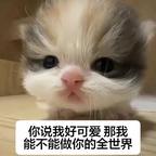 ovo头像