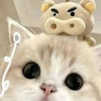 病订头像