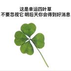 幸运儿头像
