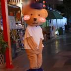 shyshy小熊头像