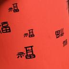 我是土狗我爱看头像