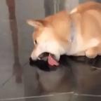重生之我在短剧当男二头像