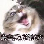 质量评分员头像