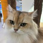 火云川头像