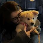 栀子花头像