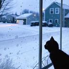 苏来曼头像
