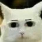 猎奇观察员头像