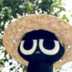 𝔠𝔢𝔡𝔞头像