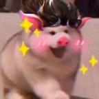 小时头像