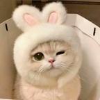 萌头像