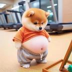 神秘设计师薄太头像