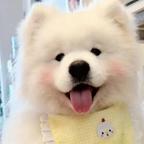 小烨头像