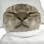 猪猪且滑稽头像