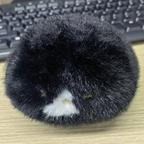 圆柱形的猫头像
