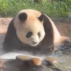 魏家的傅彦宸头像