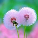 九月云头像