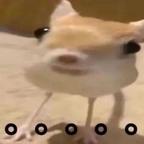 M头像