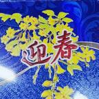 何由一相见头像