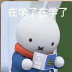 郭郭头像
