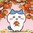 超A小宝贝头像