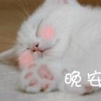 宁夏欣头像