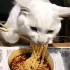 👀头像