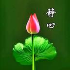 珊瑚仙岛头像