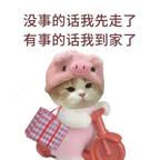 南栀和知栀头像